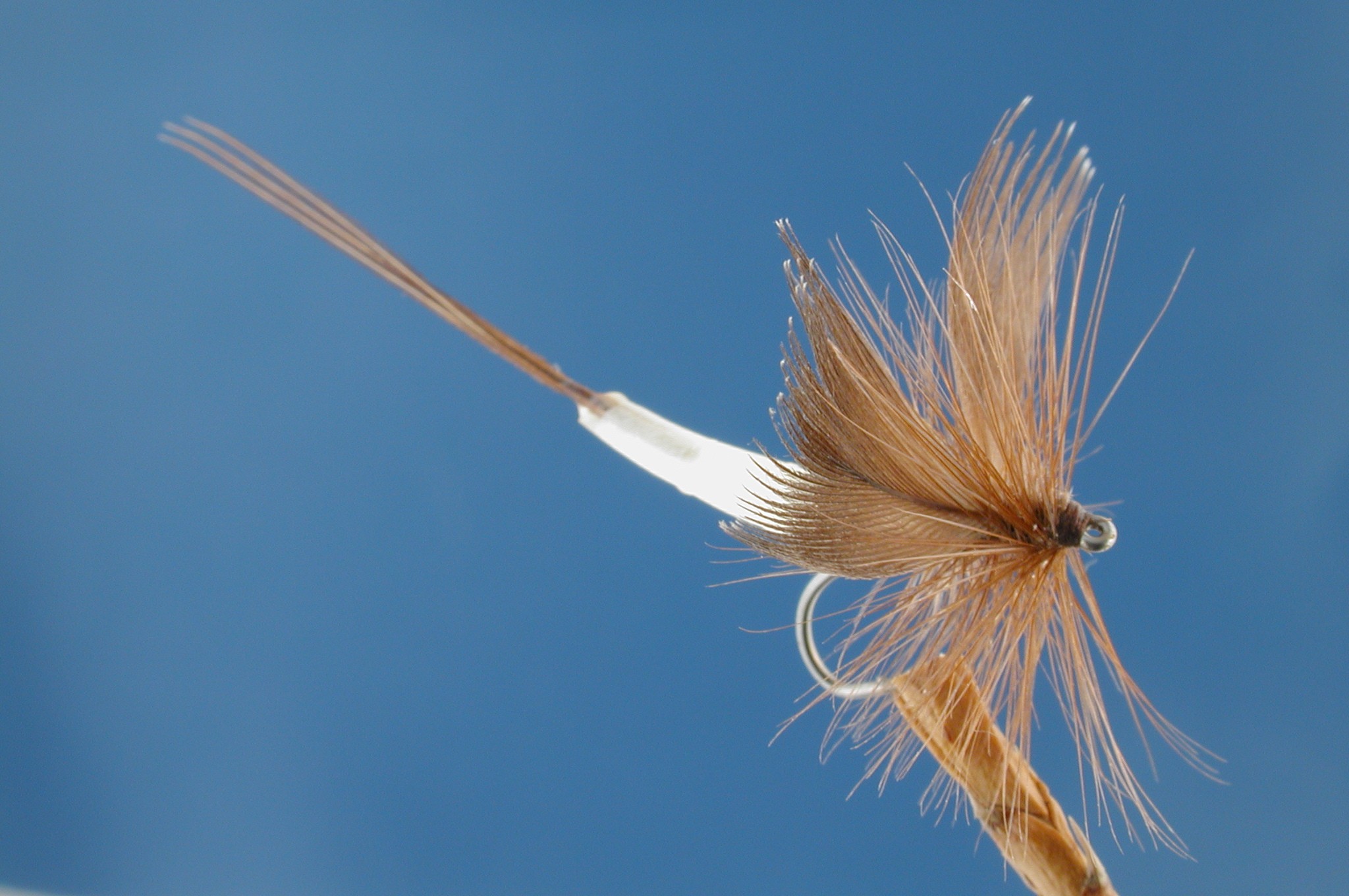 Detached Body Mayfly Brown Fly - Fishing Flies With Fish4Flies Worldwide